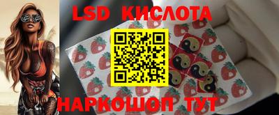 гидра Славянск-на-Кубани