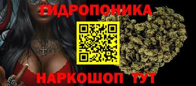 apvp Ставрополь