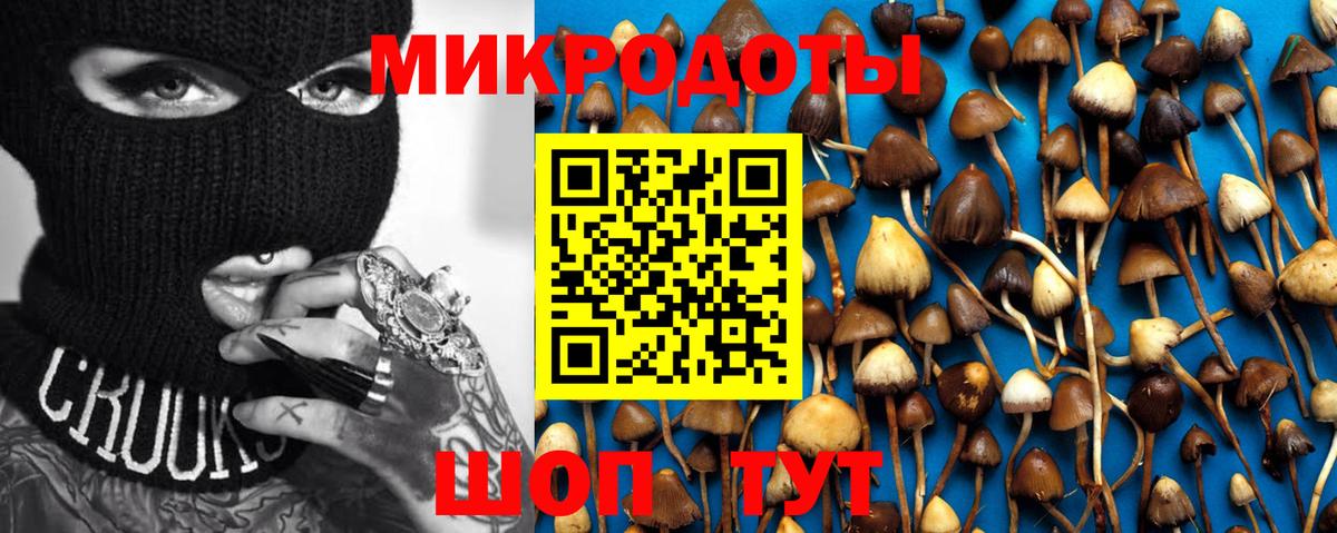 Псилоцибиновые грибы мухоморы Электросталь