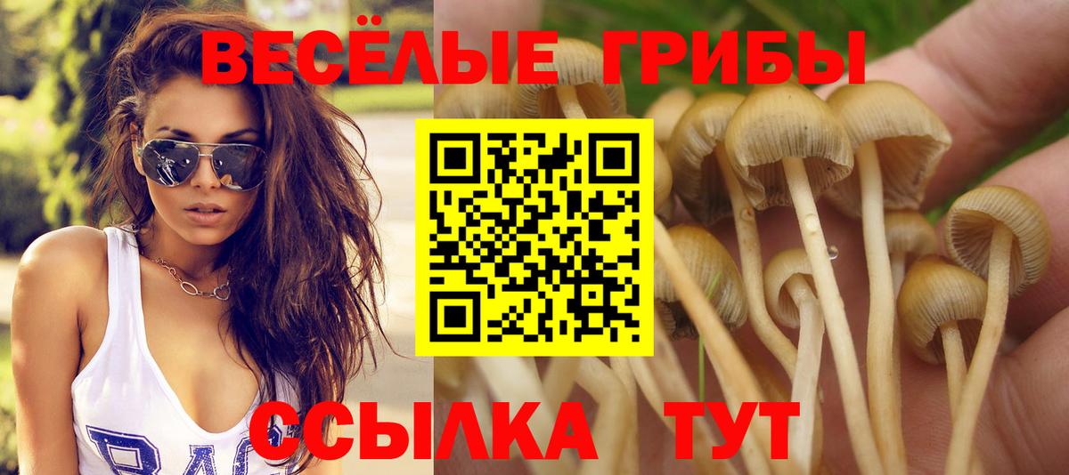 Псилоцибиновые грибы прущие грибы  Вход с VPN  Псилоцибиновые грибы Magic Shrooms  Электросталь 